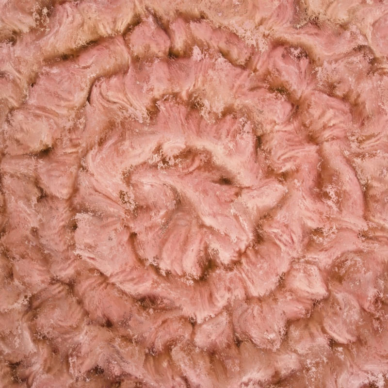 PINK DREAM