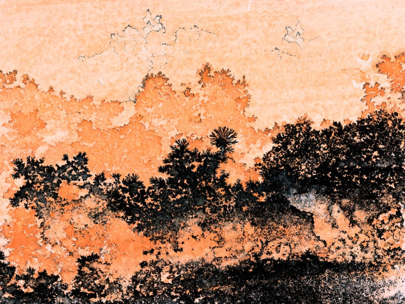 ANCIENT NATURE