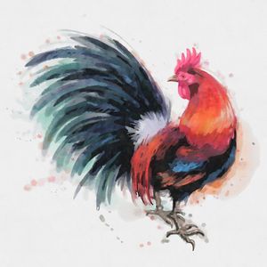 GALO AQUARELA