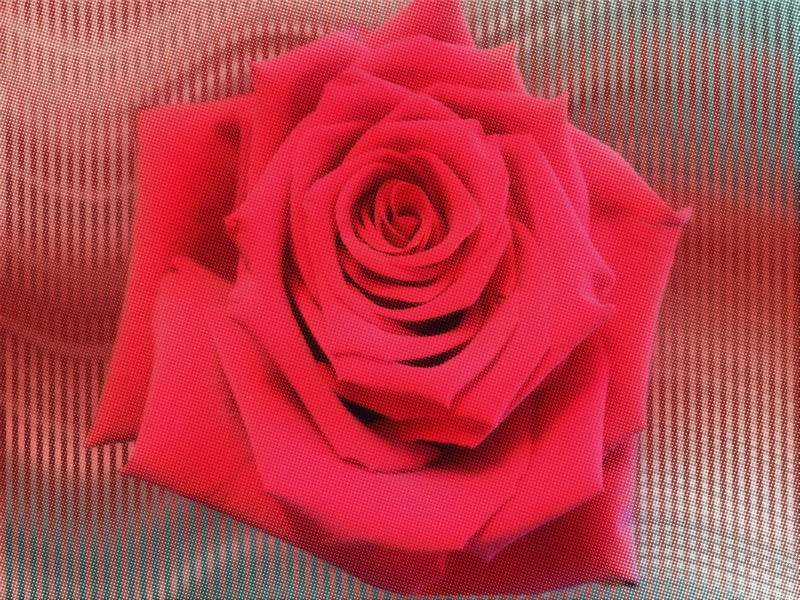 RED ROSE MOSAIC