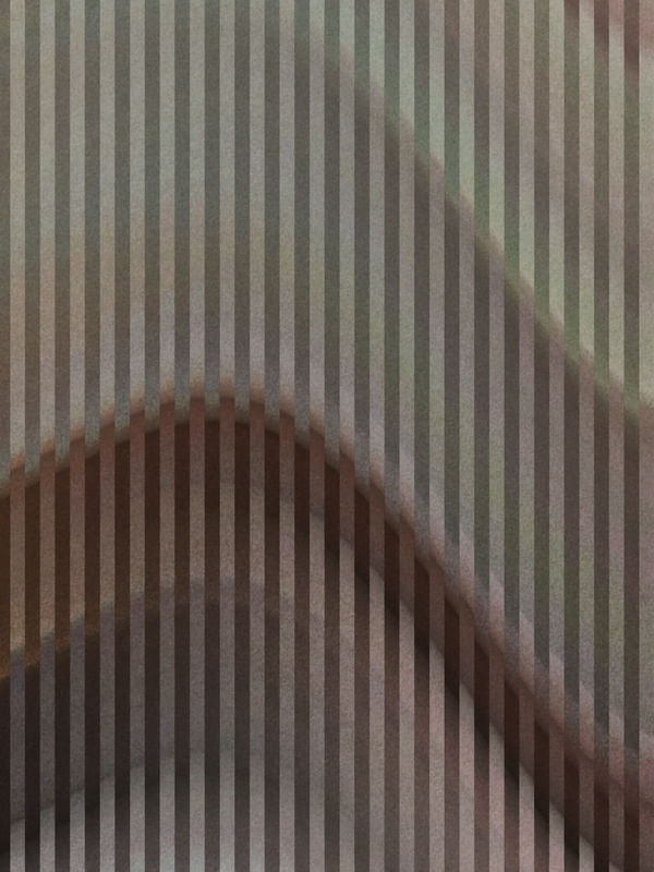AO GRANDE ARQUITETO 3