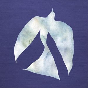 BLUE BIRDS SERIES - 01