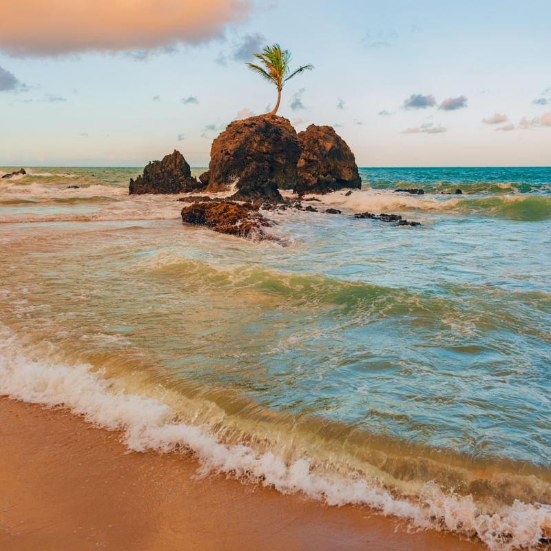 PRAIA DE TAMBABA NA PARAÍBA