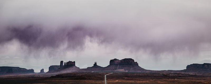 MONUMENT VALLEY VIOLET