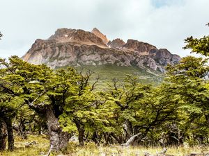A CAMINHO DAS PIEDRAS BLANCAS
