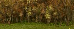 SEU JARDIM