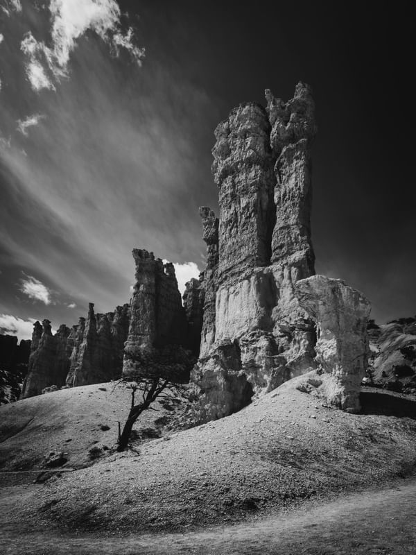 FAIRYLAND LOOP TRAIL - BRYCE CANYON, UTAH, ESTADOS UNIDOS