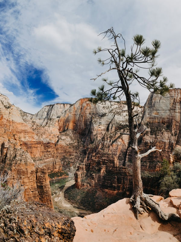 ANGELS LANDING TRAIL 2 - ZION NATIONAL PARK - ESTADOS UNIDOS