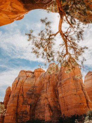 CATHEDRAL ROCK, SEDONA - ESTADOS UNIDOS