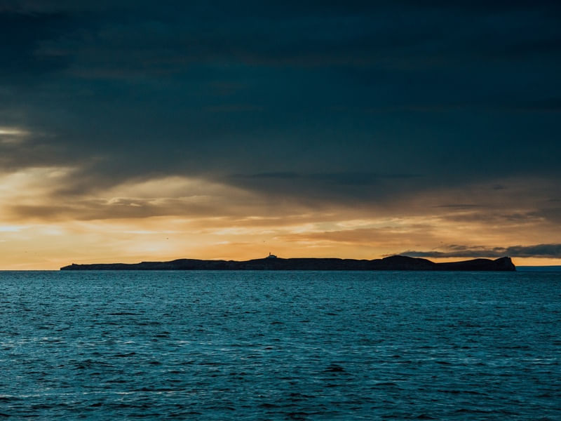 ISLA MAGDALENA NO ESTREITO DE MAGALHAES 2