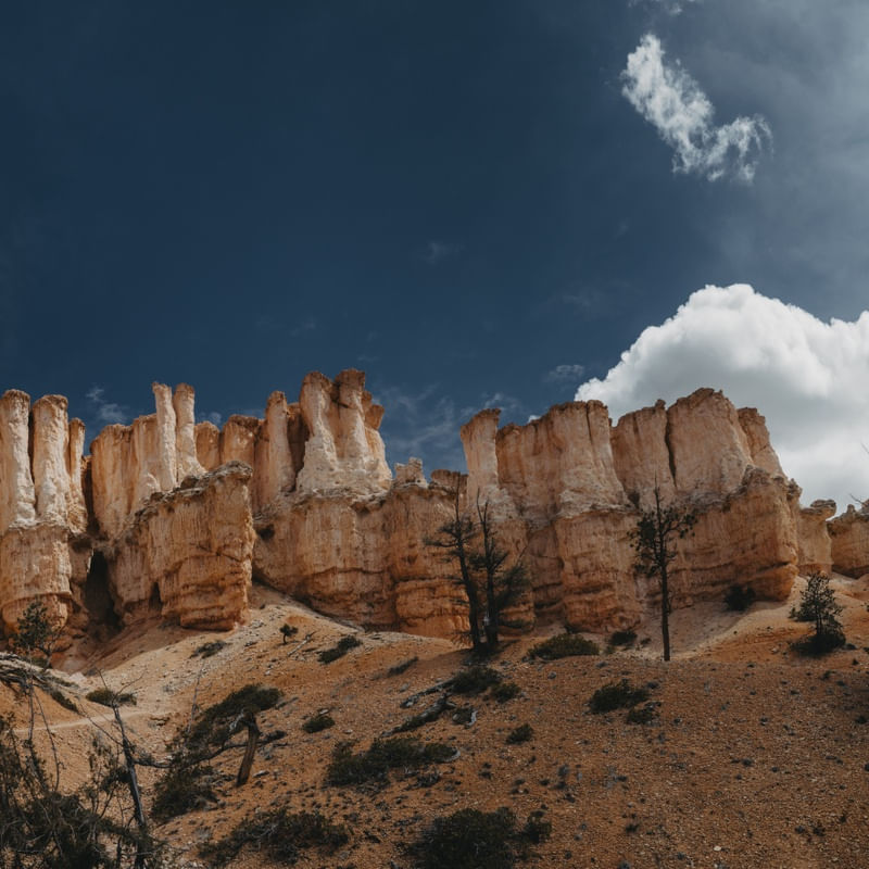 BRYCE CANYON NATIONAL PARK - UTAH, ESTADOS UNIDOS - DÍPTICO 2