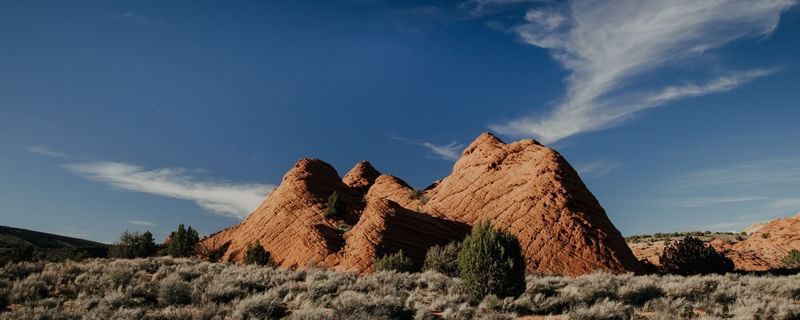 ARIZONA VIEW