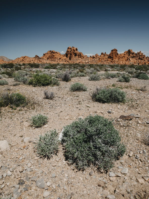 CORES DO DESERTO - VALLEY OF FIRE