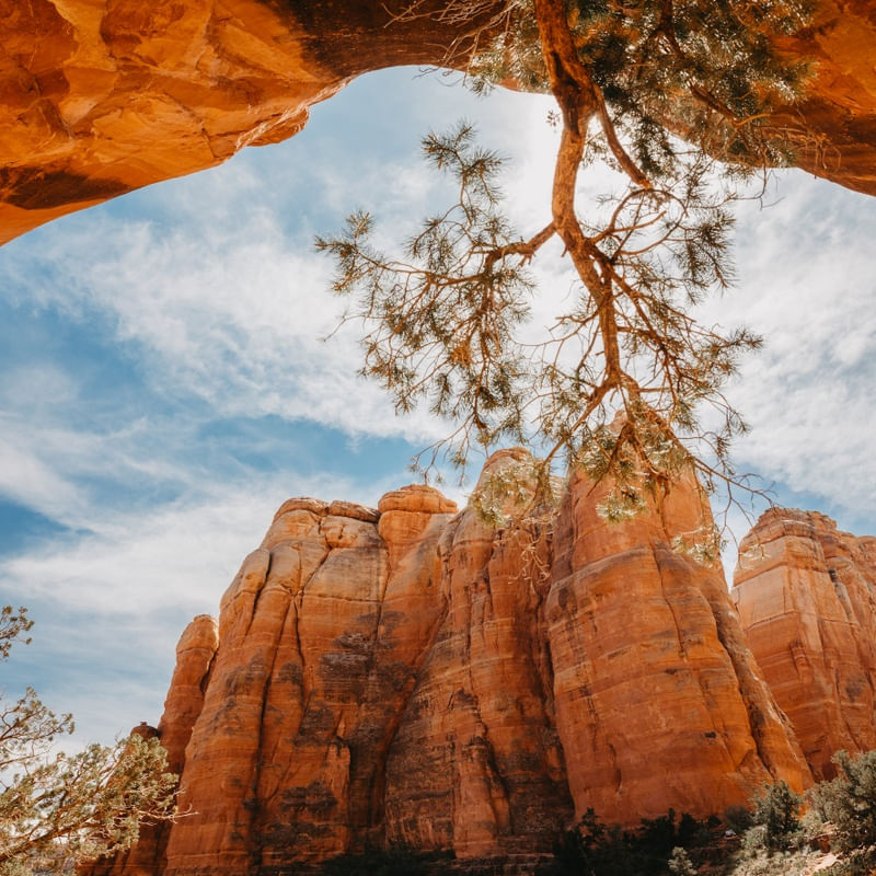 PAISAGEM EM SEDONA