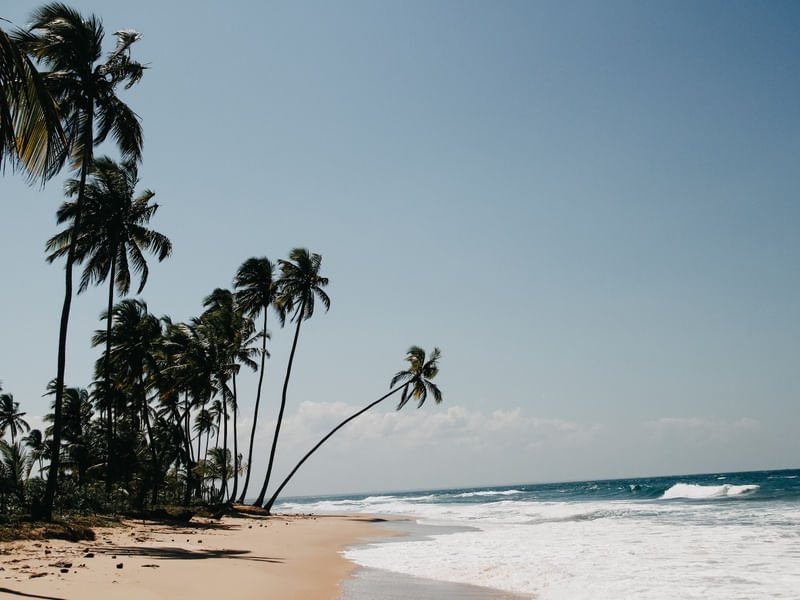 PRAIA DOS TRÊS COQUEIROS - PONTA DO MUTÁ, BAHIA