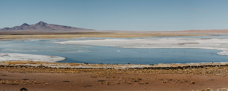 SALAR DE TALAR 2 DE 3