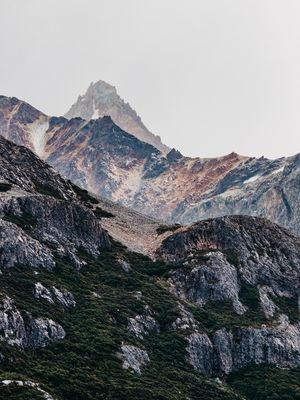 DESCANSO DE UM GIGANTE - PATAGÔNIA