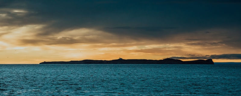 ISLA MAGDALENA NO ESTREITO DE MAGALHÃES - 52°54'42.534 S 70°41'46.524 W