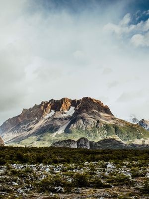 LOS HUEMULES - EL CHALTEN 2