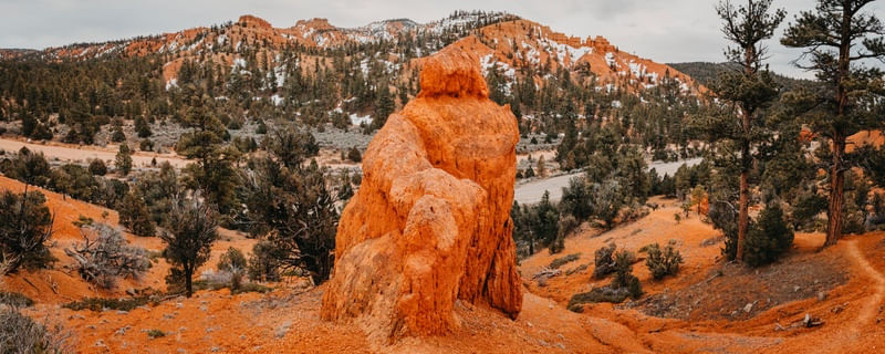RED CANYON - ESTADOS UNIDOS