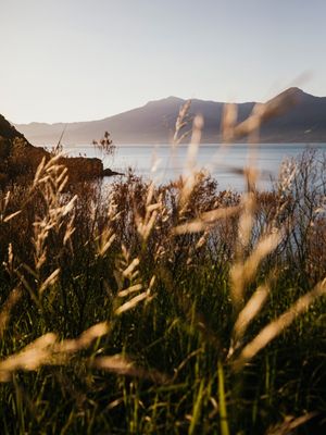 A ILHABELA