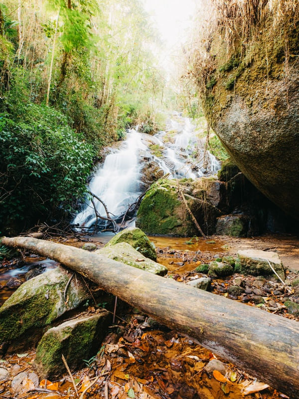 FLORESTA DA MANTIQUEIRA 6