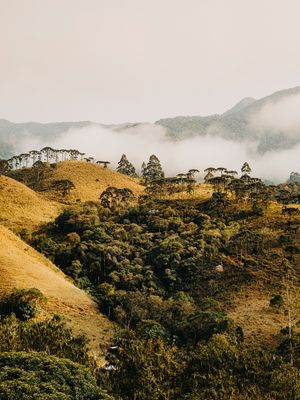 NEVOA NA SERRA DA MANTIQUEIRA