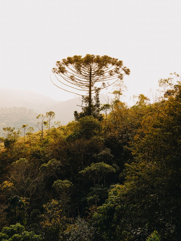 NEVOA NA SERRA DA MANTIQUEIRA 3