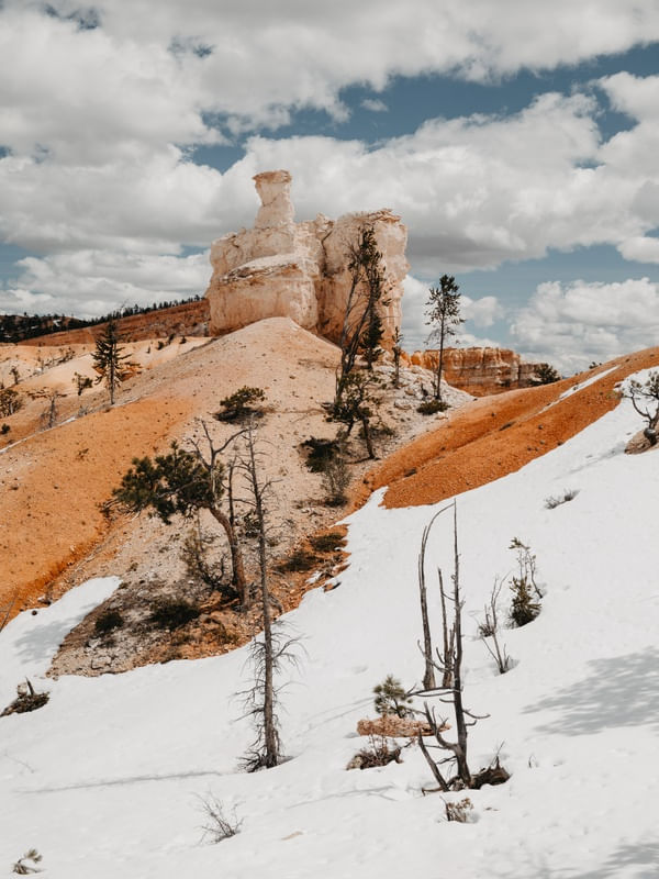 BRYCE CANYON NEVADO 2