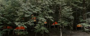 HABITEMOS A FLORESTA