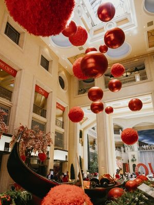 THE VENETIAN