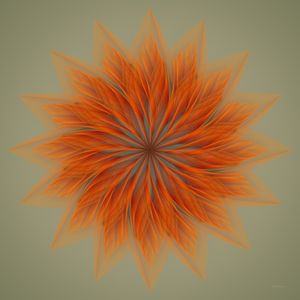 WEIGHTLESS NO01