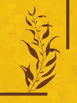 SOB O SOL DE UGANDA III