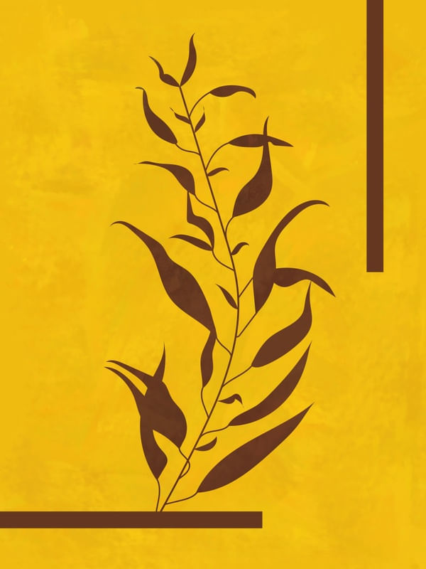 SOB O SOL DE UGANDA III