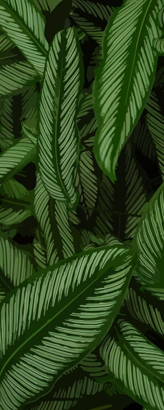 LEAVES II