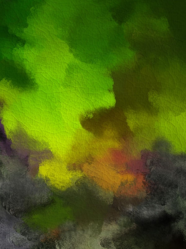 INSIDE THE NORTHERN LIGHTS