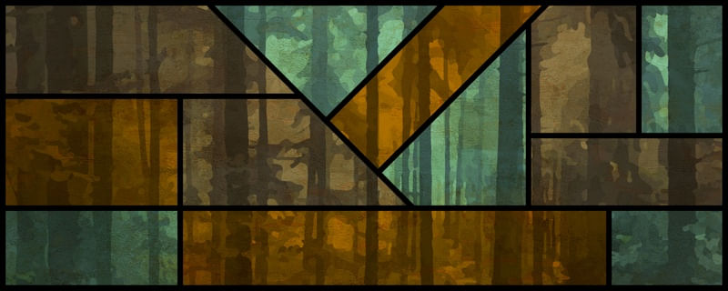 FOREST GEOMETRY