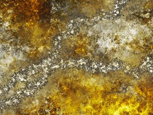 THE GOLDRUSH