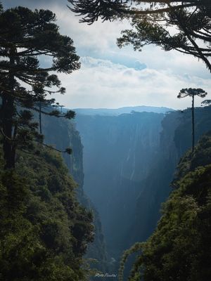 TRILHA DO VÉRTICE
