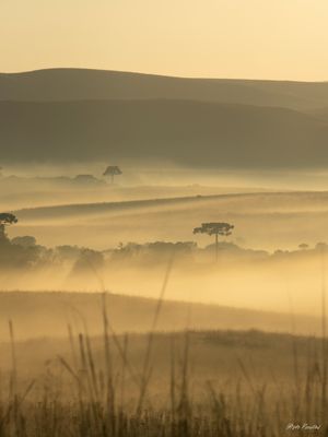 SUNRISE IN THE COUNTRY