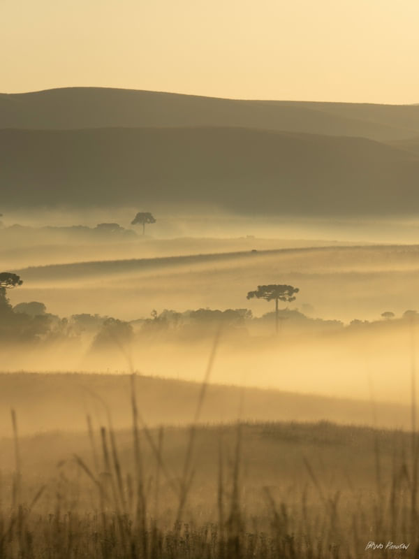 SUNRISE IN THE COUNTRY