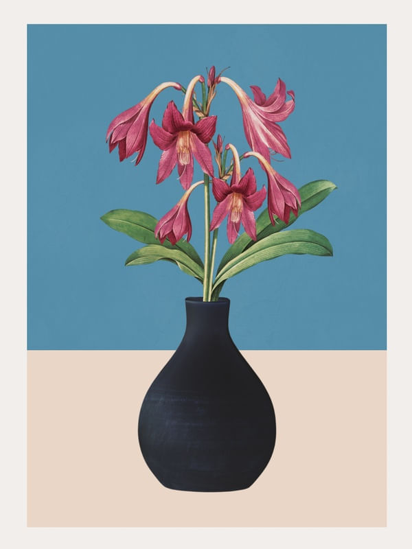 FLOWERS IN BLACK VASE 1