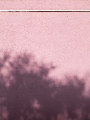 PAREDE ROSA 2