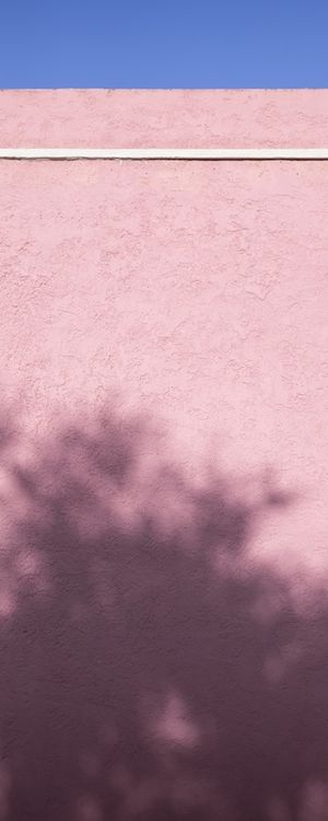 PAREDE ROSA 5