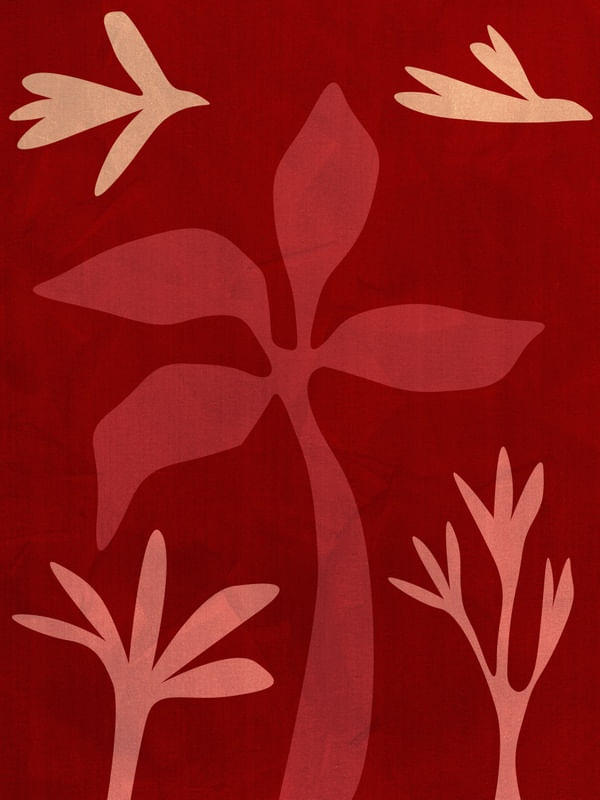 NATUREZA ABSTRACTA