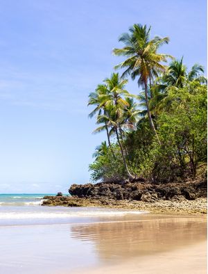 PALMEIRA DE BOIPEBA