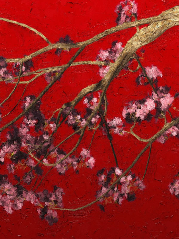 SAKURA PINTURA A ÓLEO