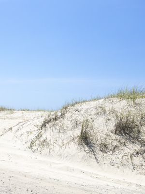 AREIA DA PRAIA - DÍPTICO 2