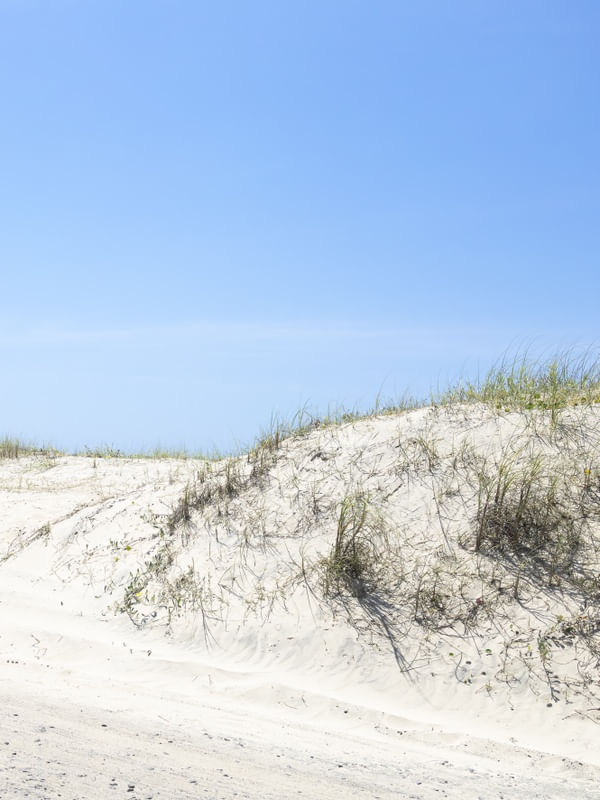 AREIA DA PRAIA - DÍPTICO 2