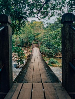 PONTEZINHA DE MADEIRA